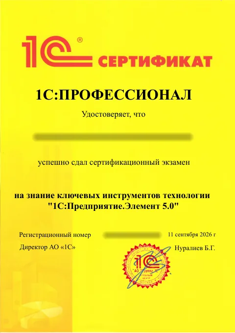 1С:Профессионал: 1С:Предприятие.Элемент 5.0. ФИО и регистрационный номер скрыты.