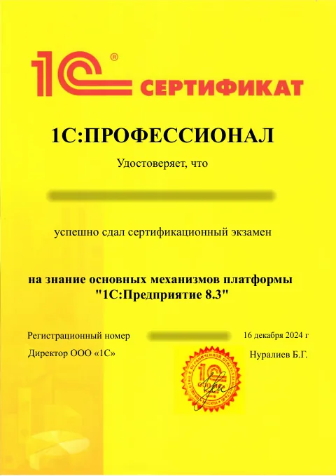 1С:Профессионал: Платформа 1С:Предприятие 8.3. ФИО и регистрационный номер скрыты.